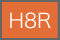 H8R オレンジメタリック